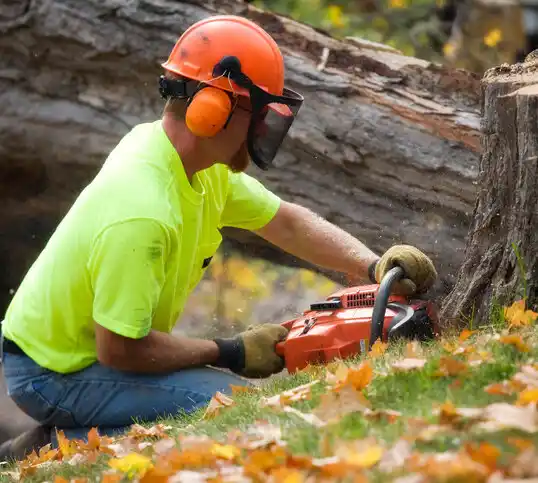 tree services Kenner